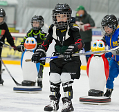За два с половиной месяца в Мариуполе хоккеем и фигурным катанием начали заниматься более 400 детей