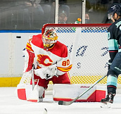Даниэль Владарж оформил свой первый шатаут в НХЛ